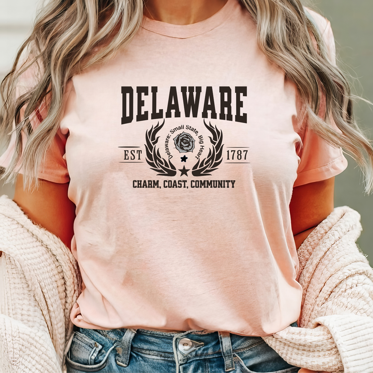 Delaware State T-Shirt – &quot;Small State, Big Heart&quot; Unisex Tee for Delaware Lovers