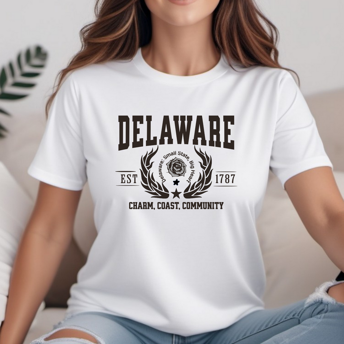 Delaware State T-Shirt – &quot;Small State, Big Heart&quot; Unisex Tee for Delaware Lovers