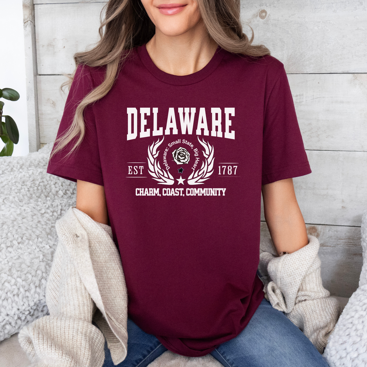 Delaware State T-Shirt – &quot;Small State, Big Heart&quot; Unisex Tee for Delaware Lovers