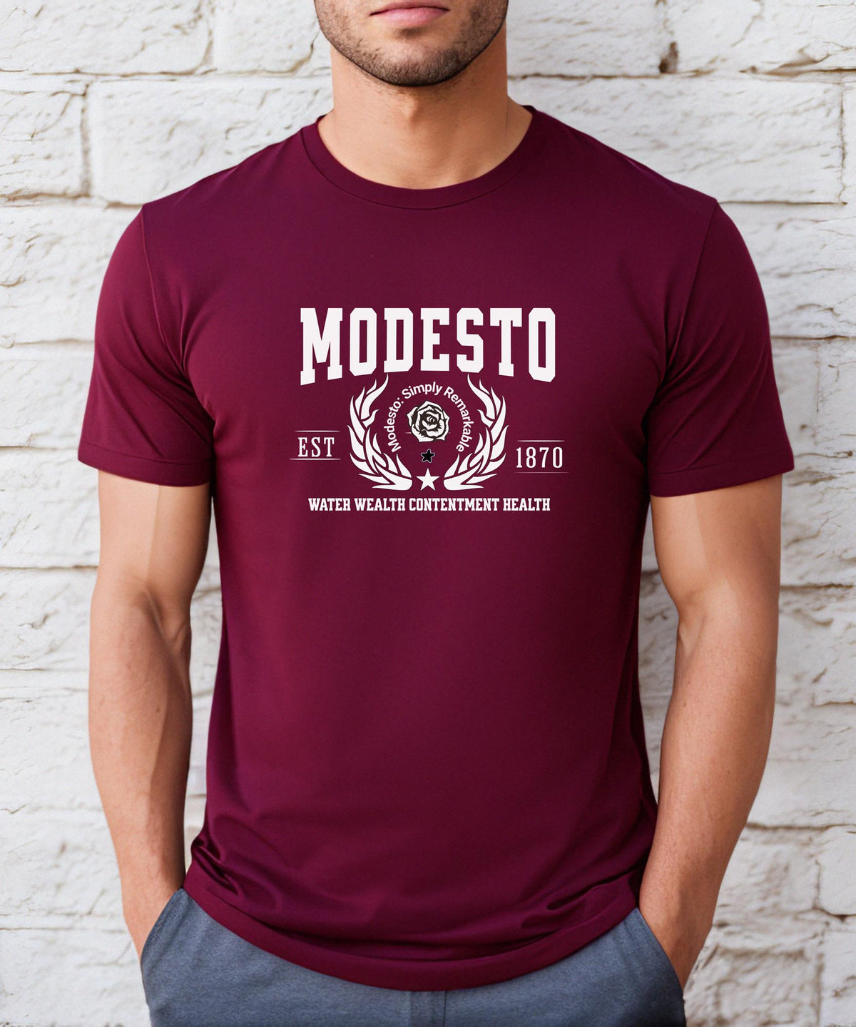 Modesto California T-Shirt - Water Wealth Contentment Health - Iconic City Pride Apparel