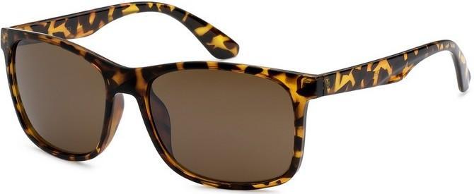 712023 Wayfarer Sunglasses