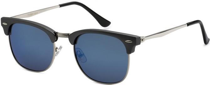 713001 Wayfarer Sunglasses