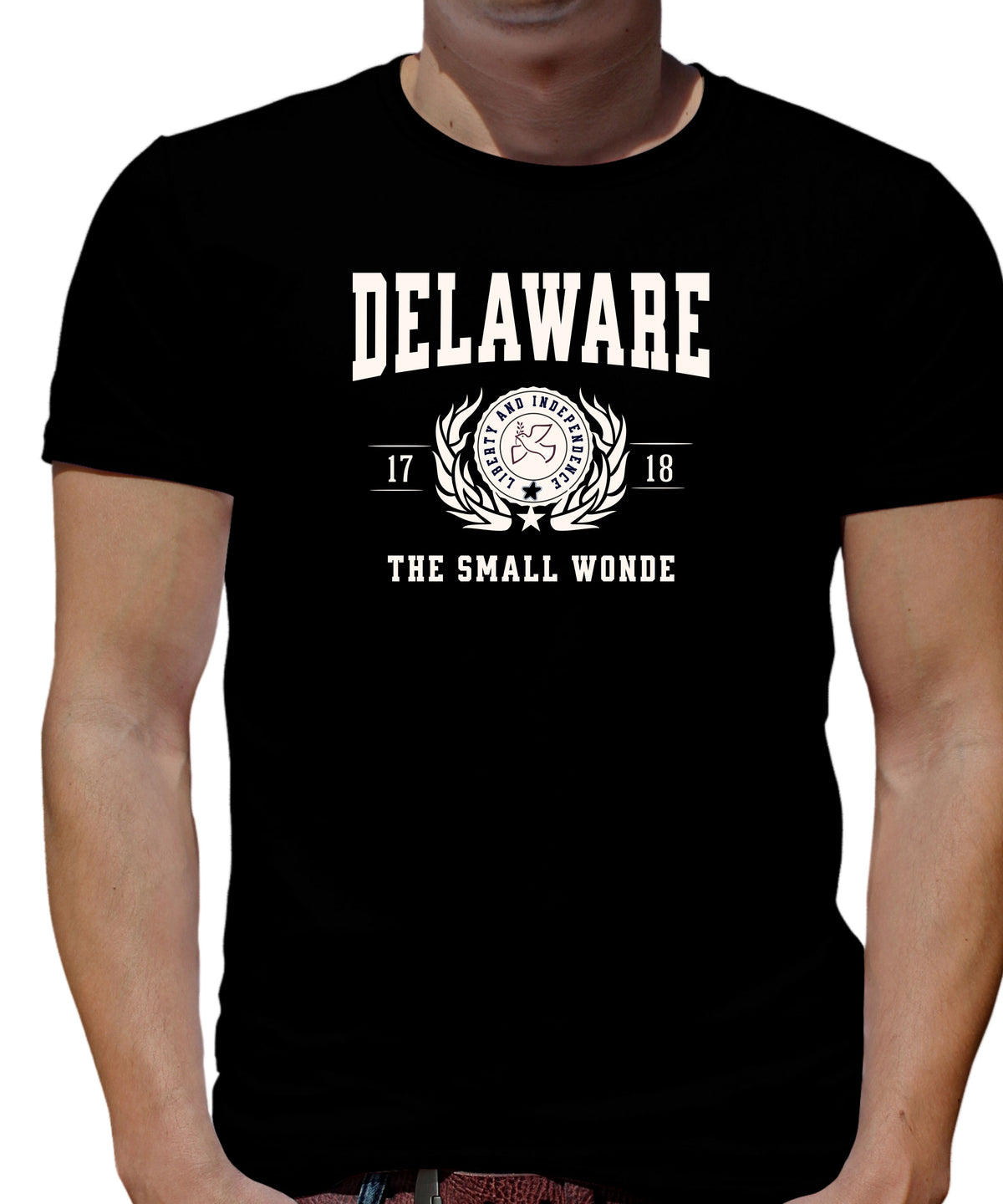 DELAWARE UNISEX COLLEGIATE STATE T-SHIRT.