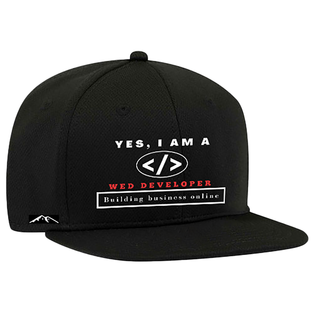 YES, I AM A WED DEVELOPER SNAPBACK HAT. Building business online.