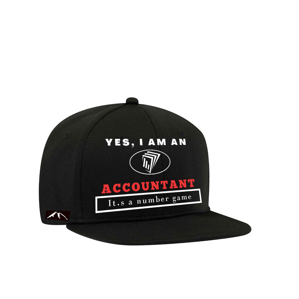 YES, I AM AN ACCOUNTANT SNAPBACK HAT. It’s a number game.